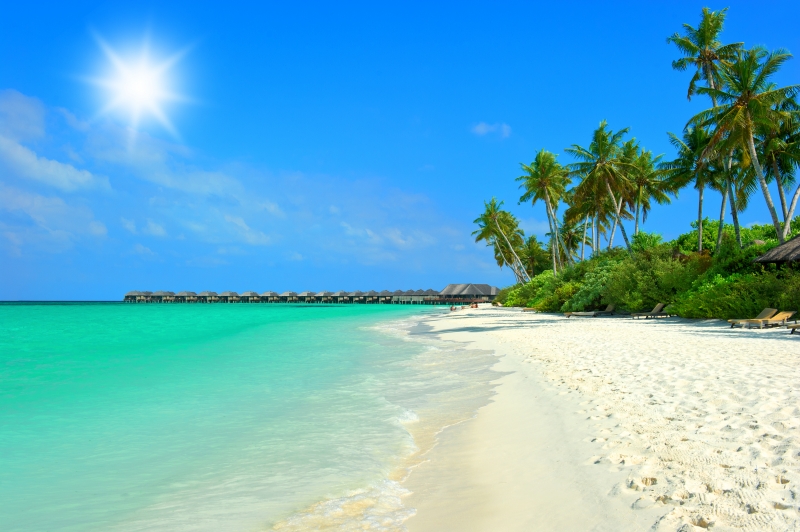 5256369-tropical-island-beach-with-perfect-blue-sunny-sky